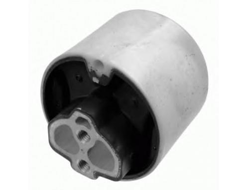 ŞANZUMAN KULAĞI   TOUAREG