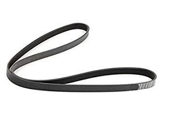 V-KAYIŞ (ŞARJ KAYIŞI) PASSAT 1.9 TDİ 2001-05