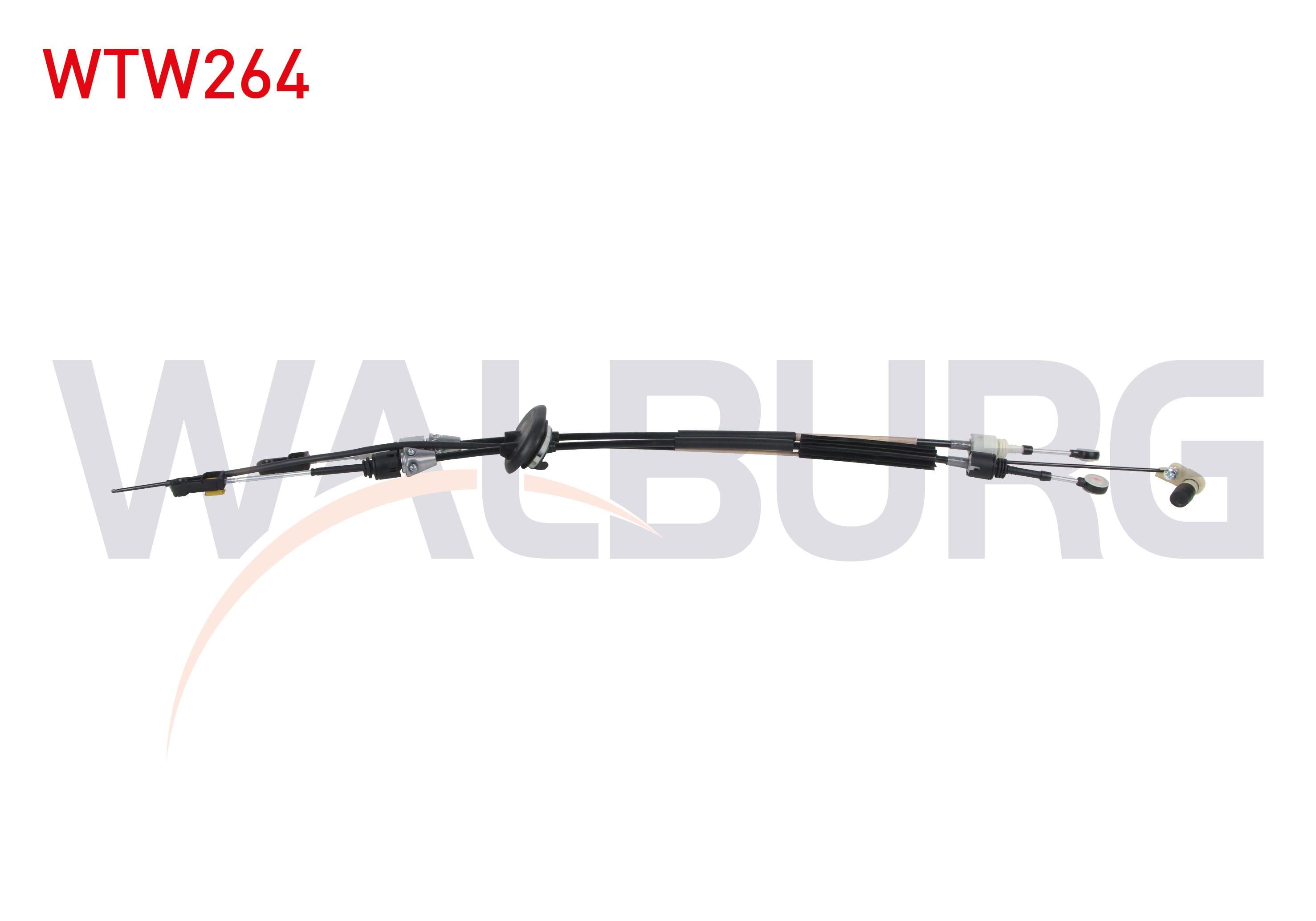 VITES TELI CITROEN C4 PICASSO 1.6 THP - 1.6 HDI 6 M-T (ML6C) 2006-2013