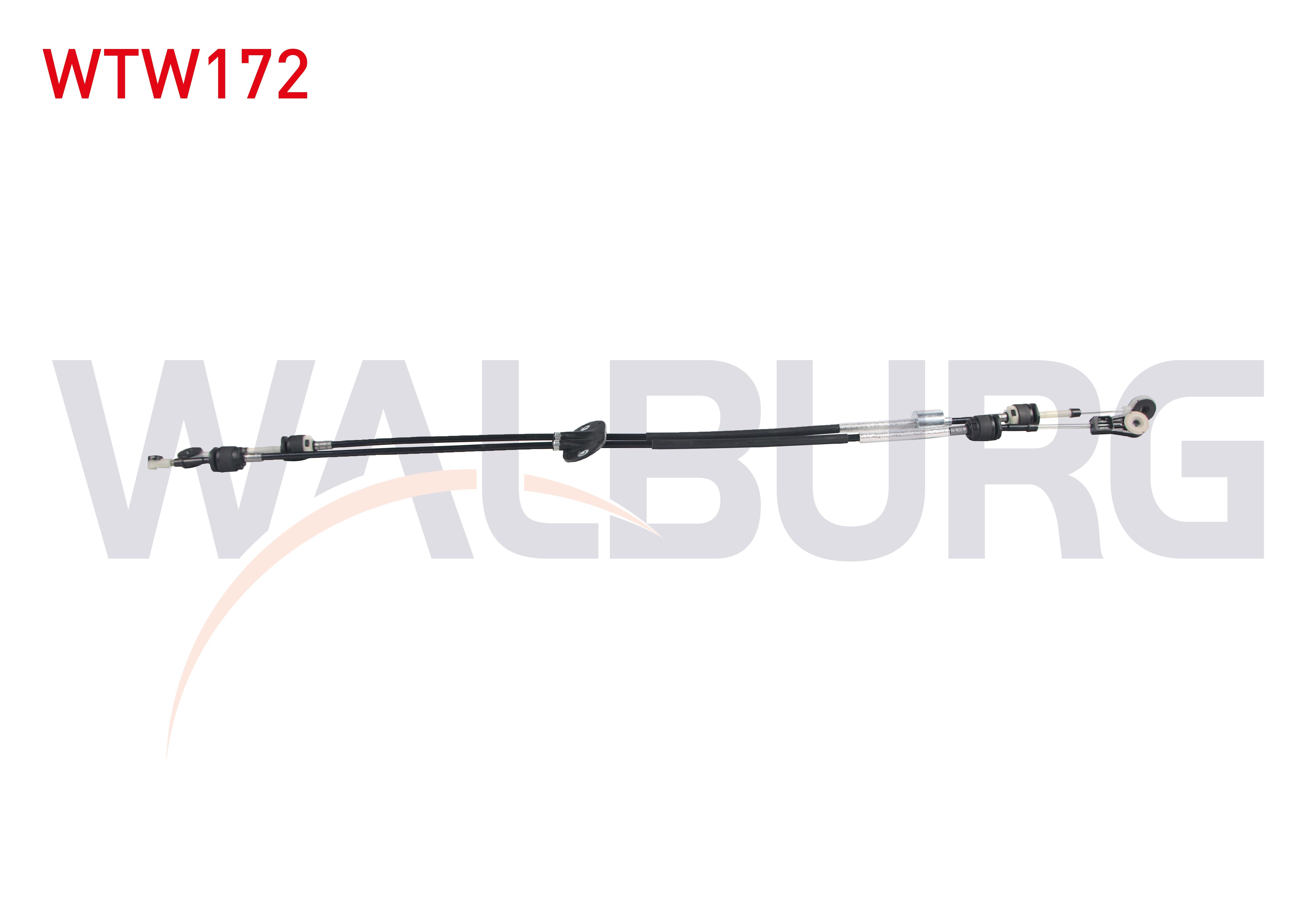 VITES TELI FORD FOCUS III 1.6 EcoBoost 2011-2015 / C-MAX II 1.5 EcoBoost 2010-