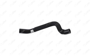 TERMOSTAT HORTUMU F40 F45 F57 B38