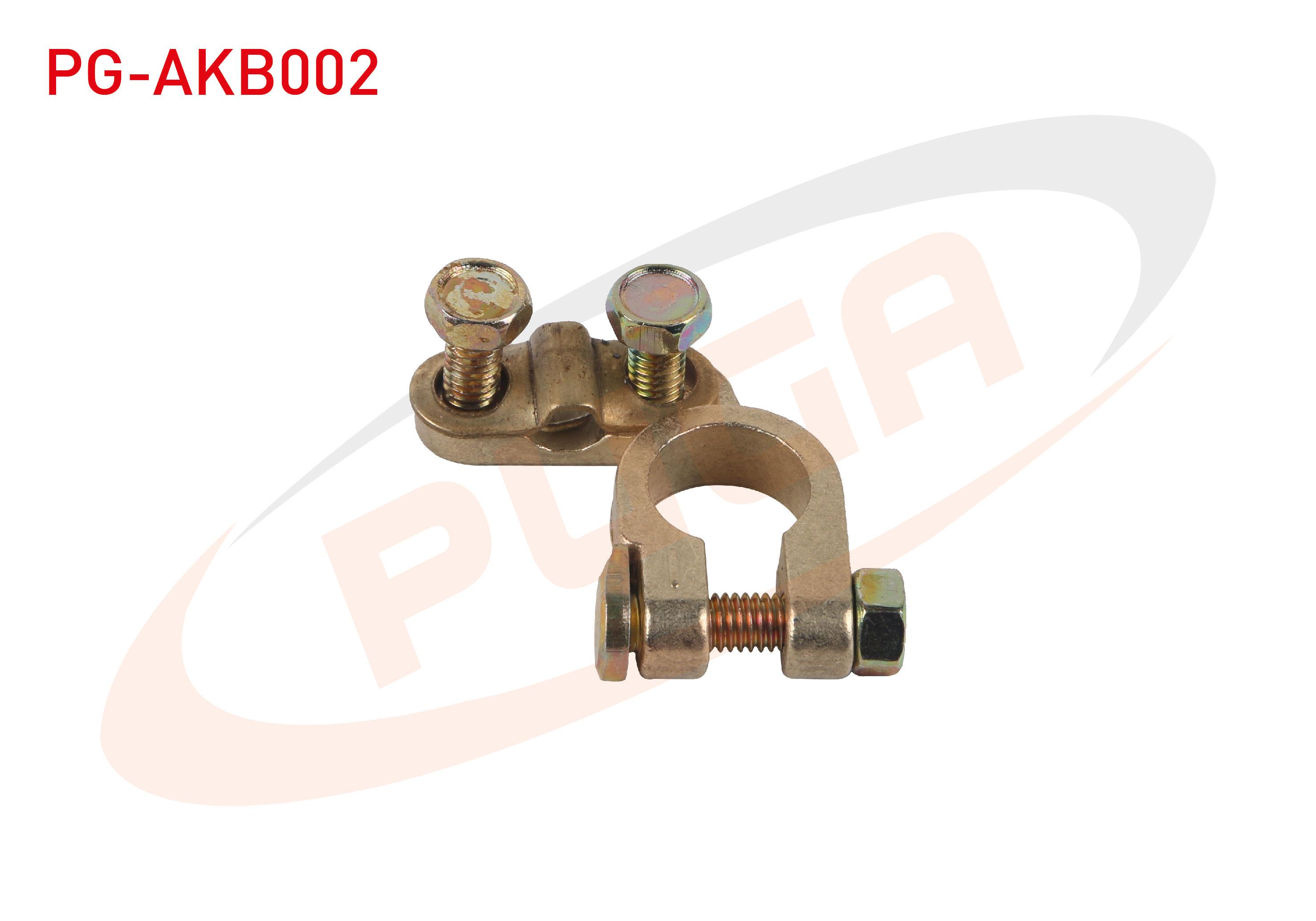 AKU KUTUP BASI - DKS