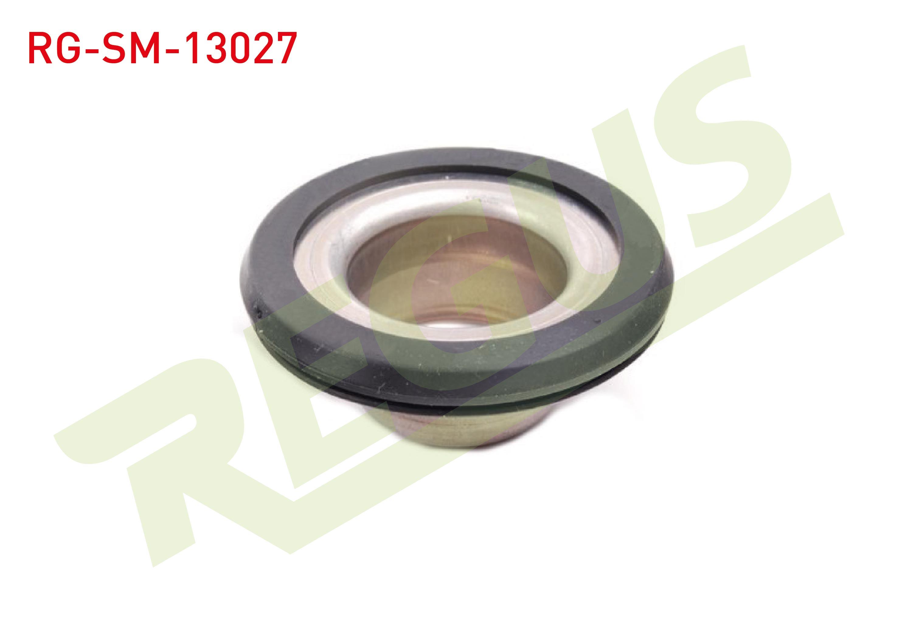 AMORTISOR CANAK ON SOL-SAG VOLKSWAGEN GOLF IV (1J1) 1.6I 1997-2005