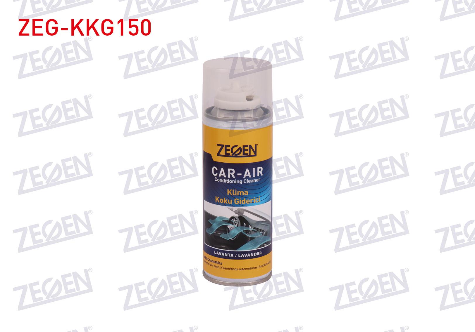 ARAC ICI KLIMA KOKU GIDERICI (LAVANTA) 24*200 ML