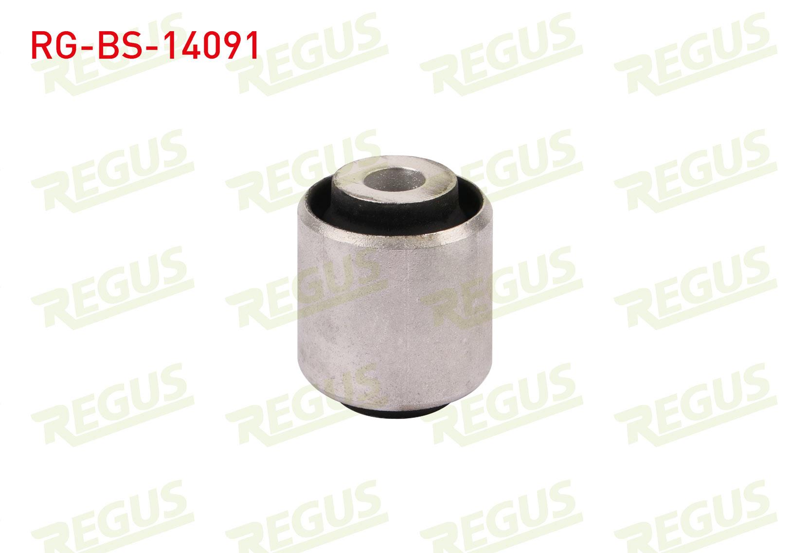 DENGE KOL BURCU ARKA SOL-SAG KUCUK BMW 1 SERISI (F20,F21) 114 D 2010-