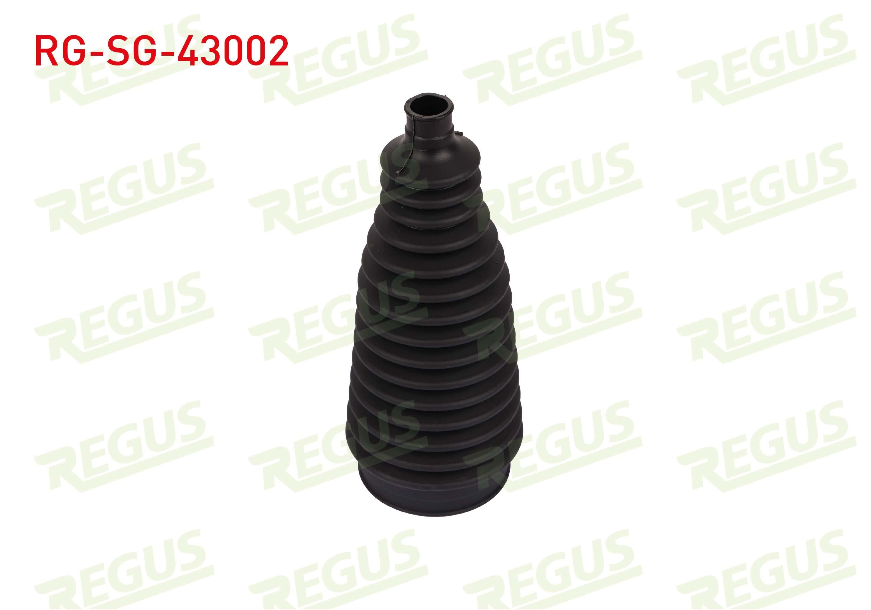 DIREKSIYON KORUGU AURIS