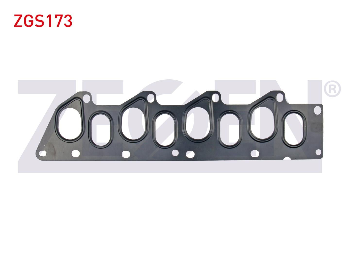 EGZOZ MANIFOLD CONTASI RENAULT KANGOO 1.9 F9Q
