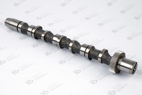 EKSANTRİK MİLİ BAU-BDH A4-6 EMME 1-3  2.5TDİ