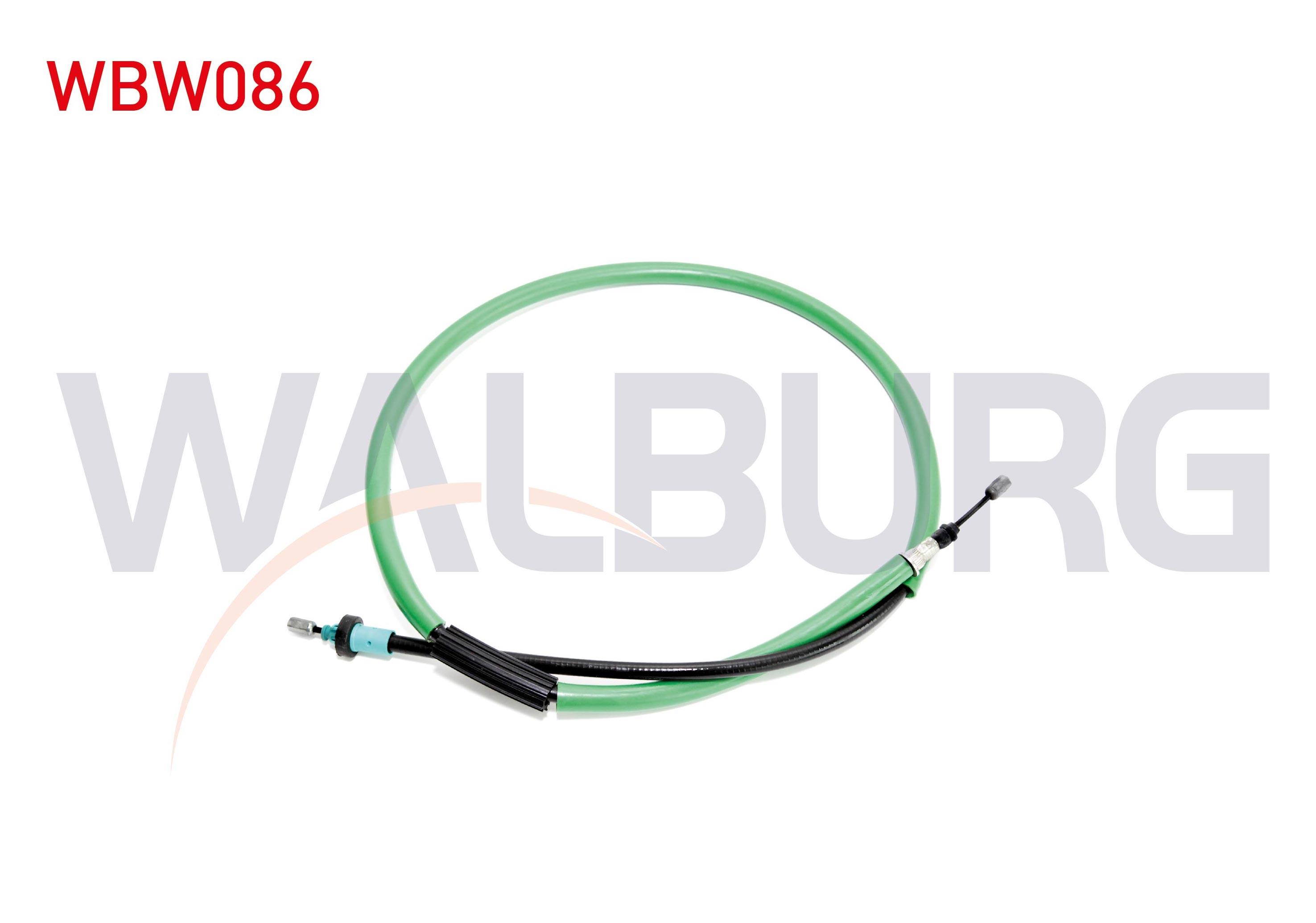 EL FREN TELI ARKA SAG DISKLI RENAULT CLIO III (BR0/1,CR0/1) / MODUS (F/JP0) 1.2i 16v 1.4i 16v 1.5DCI 2005-2012