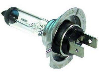 HALOJEN LAMBA 12V 55W H7