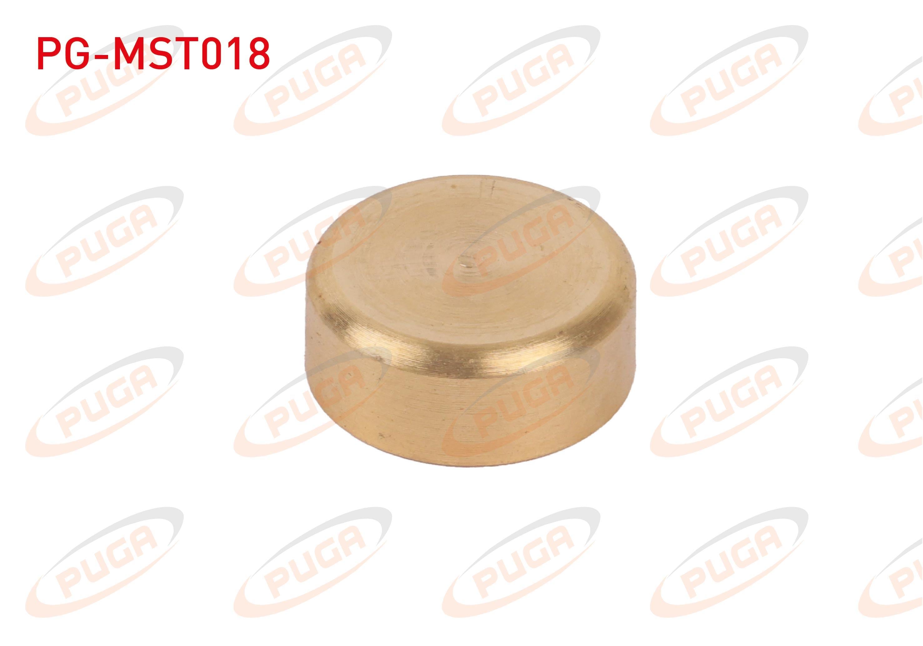 MOTOR BLOK SU TAPASI 22mm SARI PIRINC