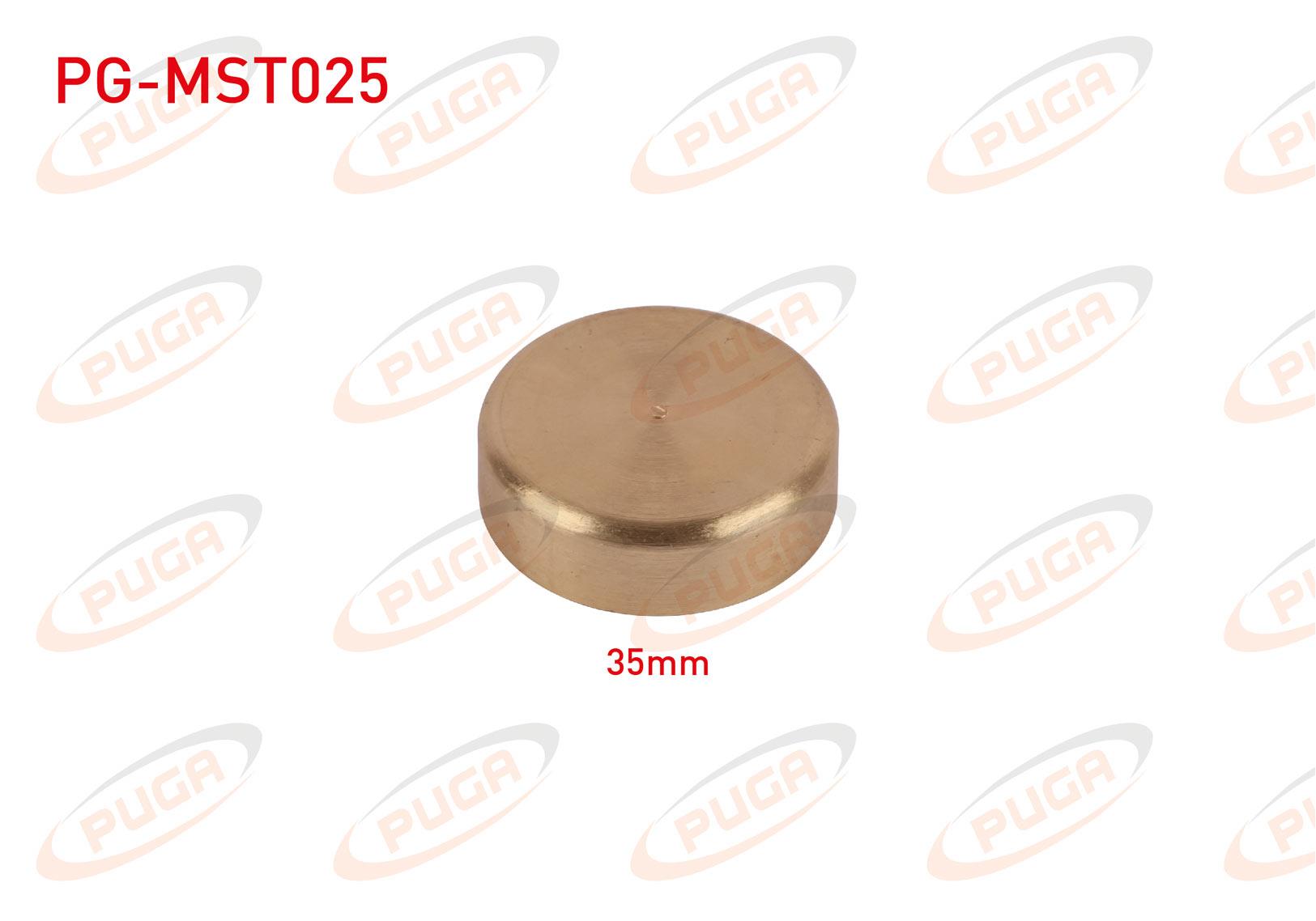MOTOR BLOK SU TAPASI 35mm SARI PIRINC