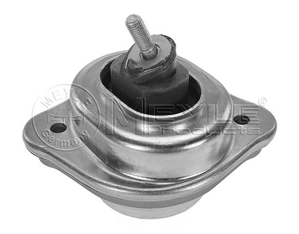 MOTOR KULAĞI  SAĞ E83 M54