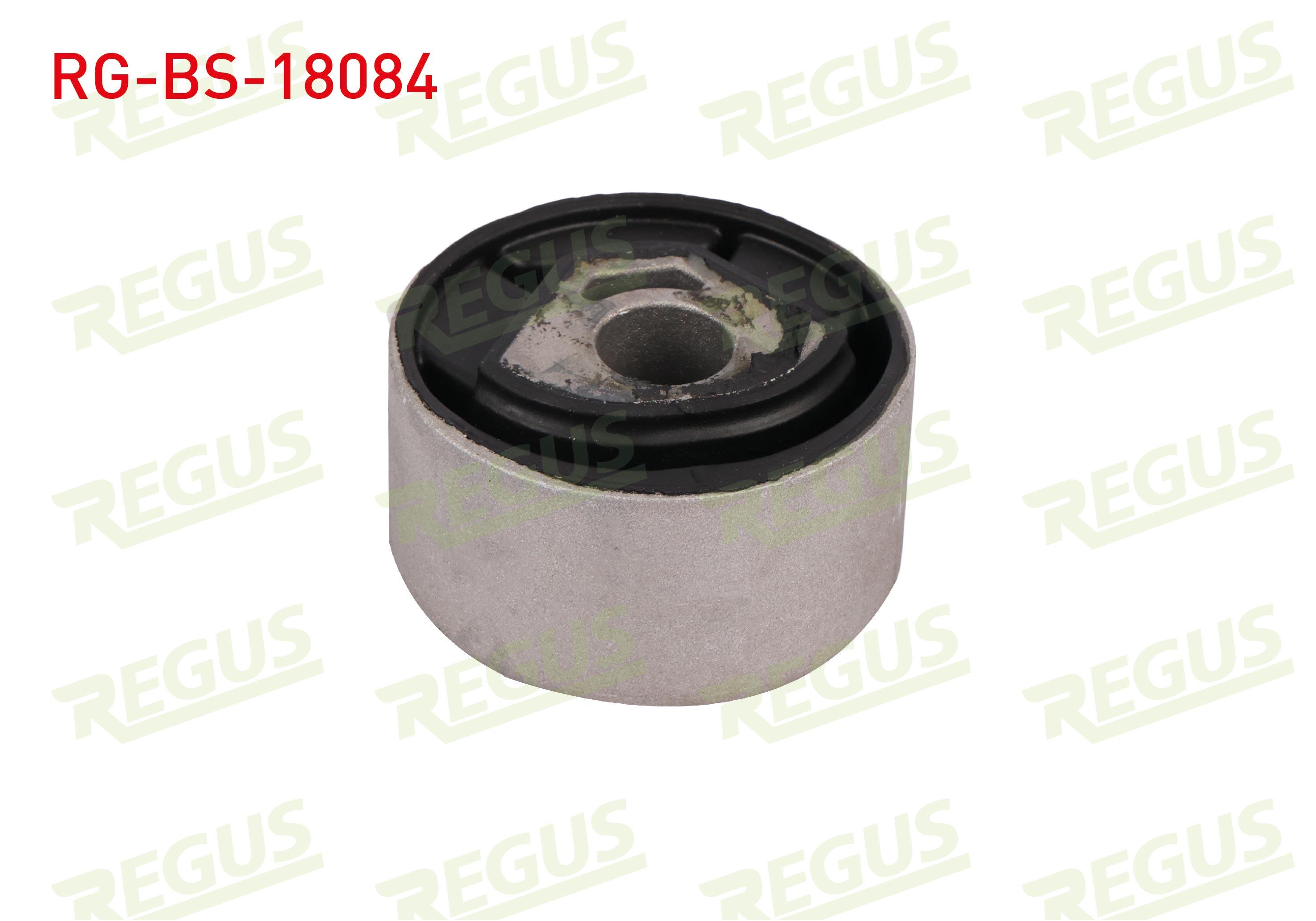 MOTOR TAKOZU BURCU ARKA FIAT DUCATO (250, 290) 2006-