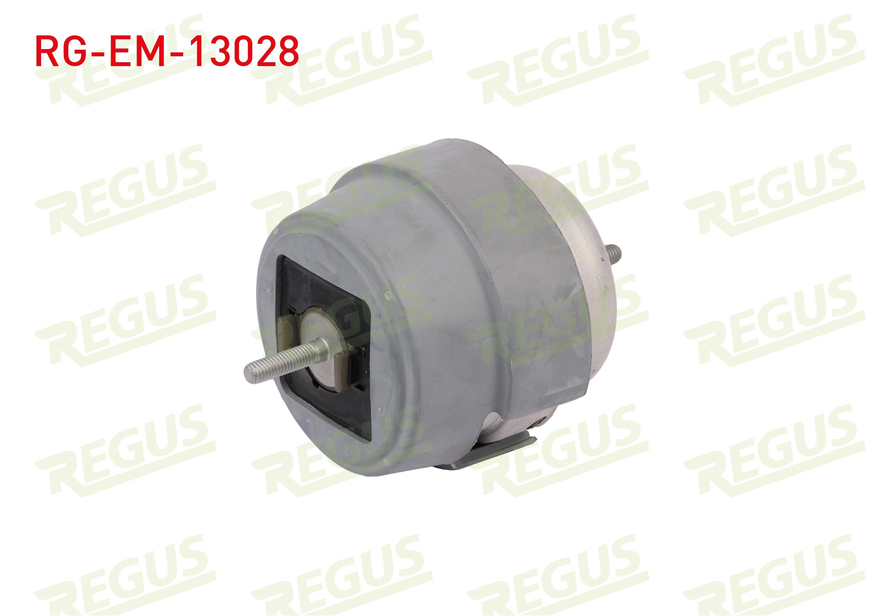 MOTOR TAKOZU ON SAG AUDI A4 (8EC,B7) 1.6 2004-2008