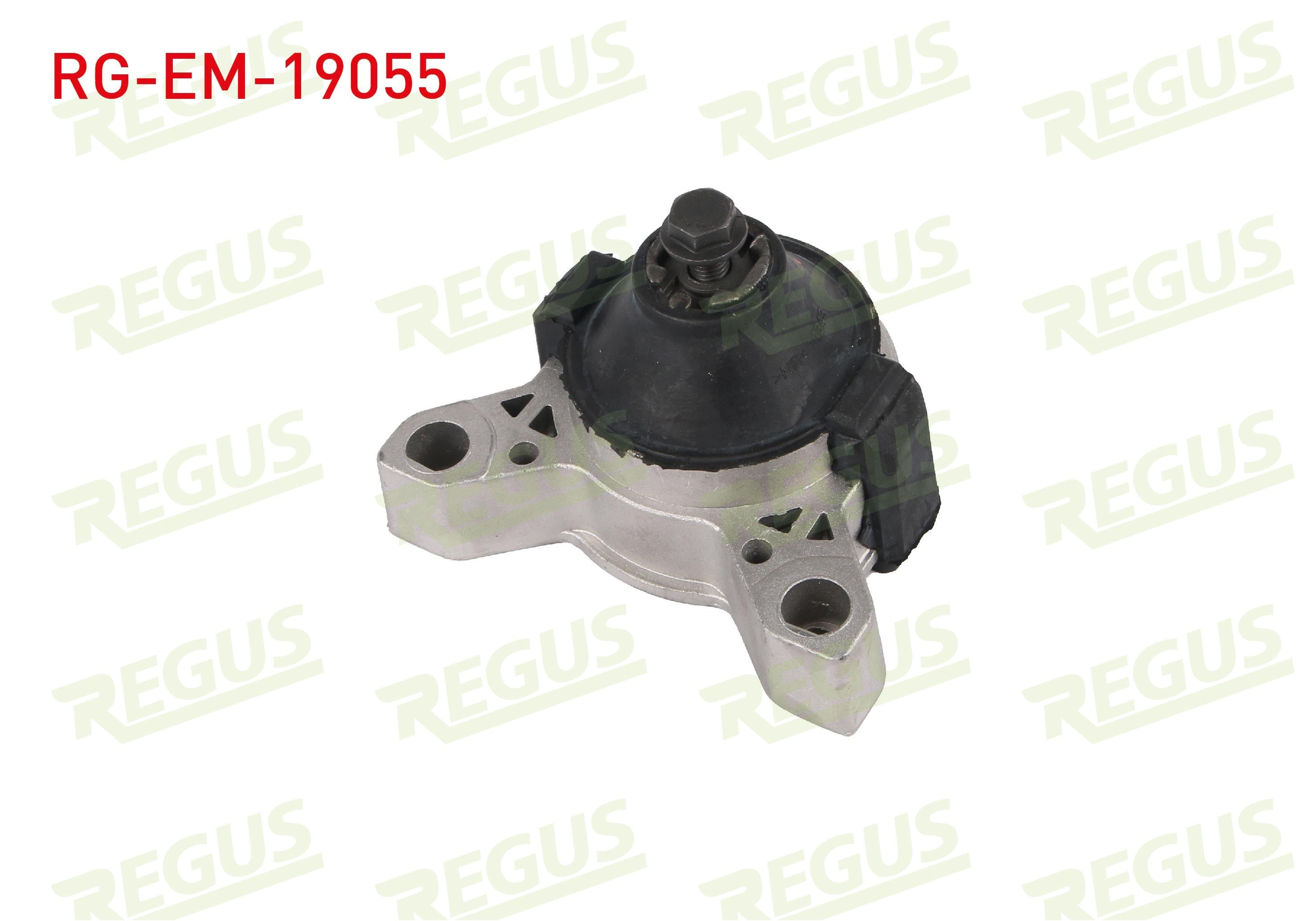 MOTOR TAKOZU TEK ICTEKI FORD TRANSIT CONNECT 2002-2014