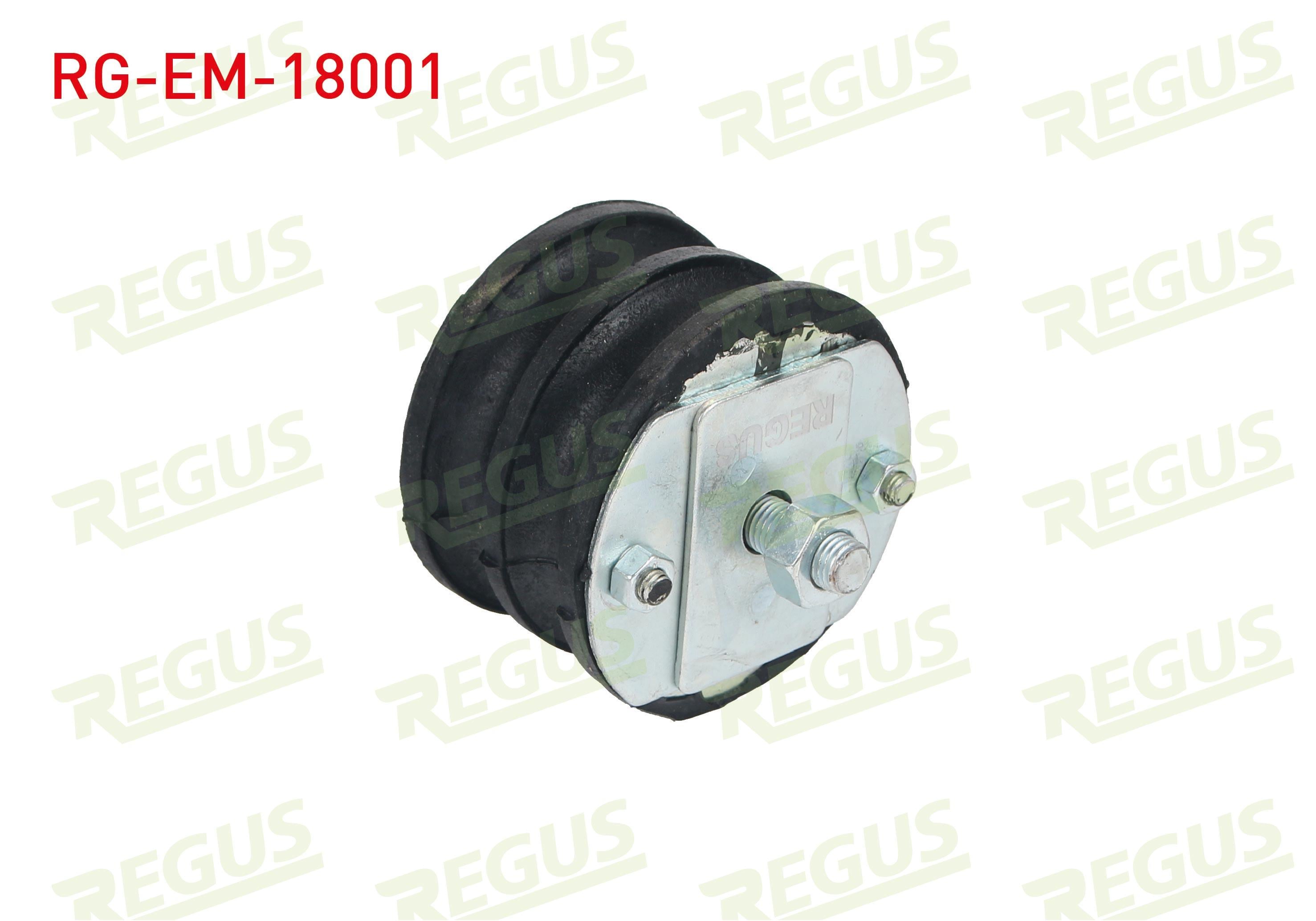 MOTOR TAKOZU YAYLI TIP M.131 / DKS