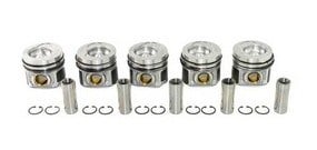 PİSTON+SEGMAN 26 Ø (81 mm) LT35-CRAFTER BJK-AVR 2,5 TDİ 06-12 076107065B 076107065 FM 87-72178 STD