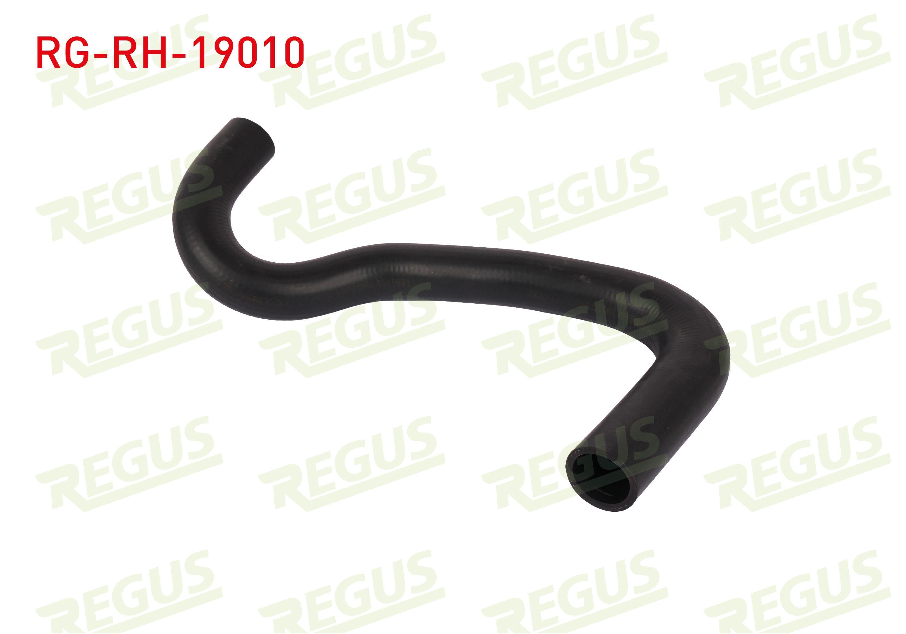 RADYATOR HORTUMU ALT FORD FIESTA VI 1.25i 2008-2012