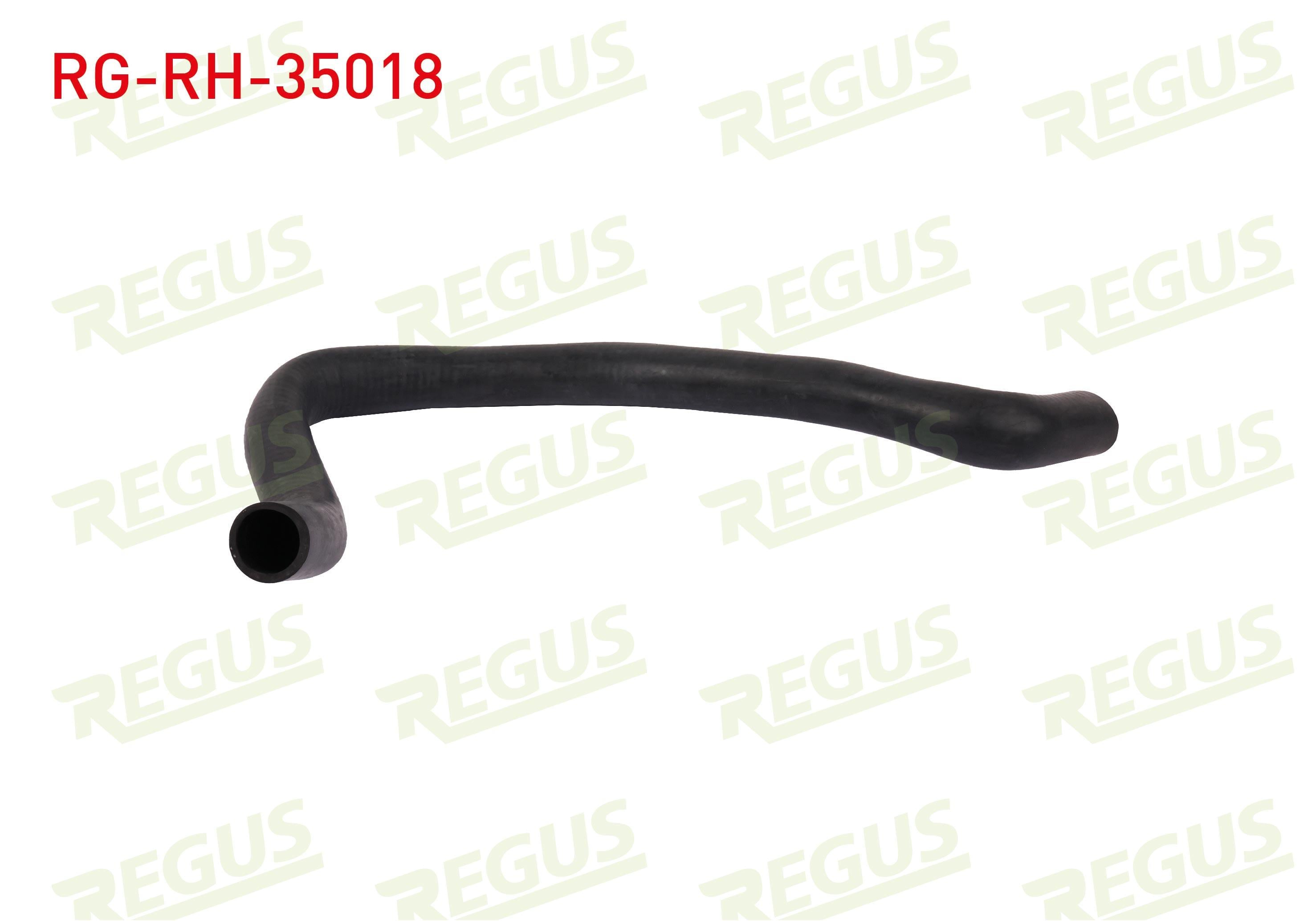 RADYATOR HORTUMU ALT RENAULT KANGOO (KC0/1) 1.5 DCI 2005-