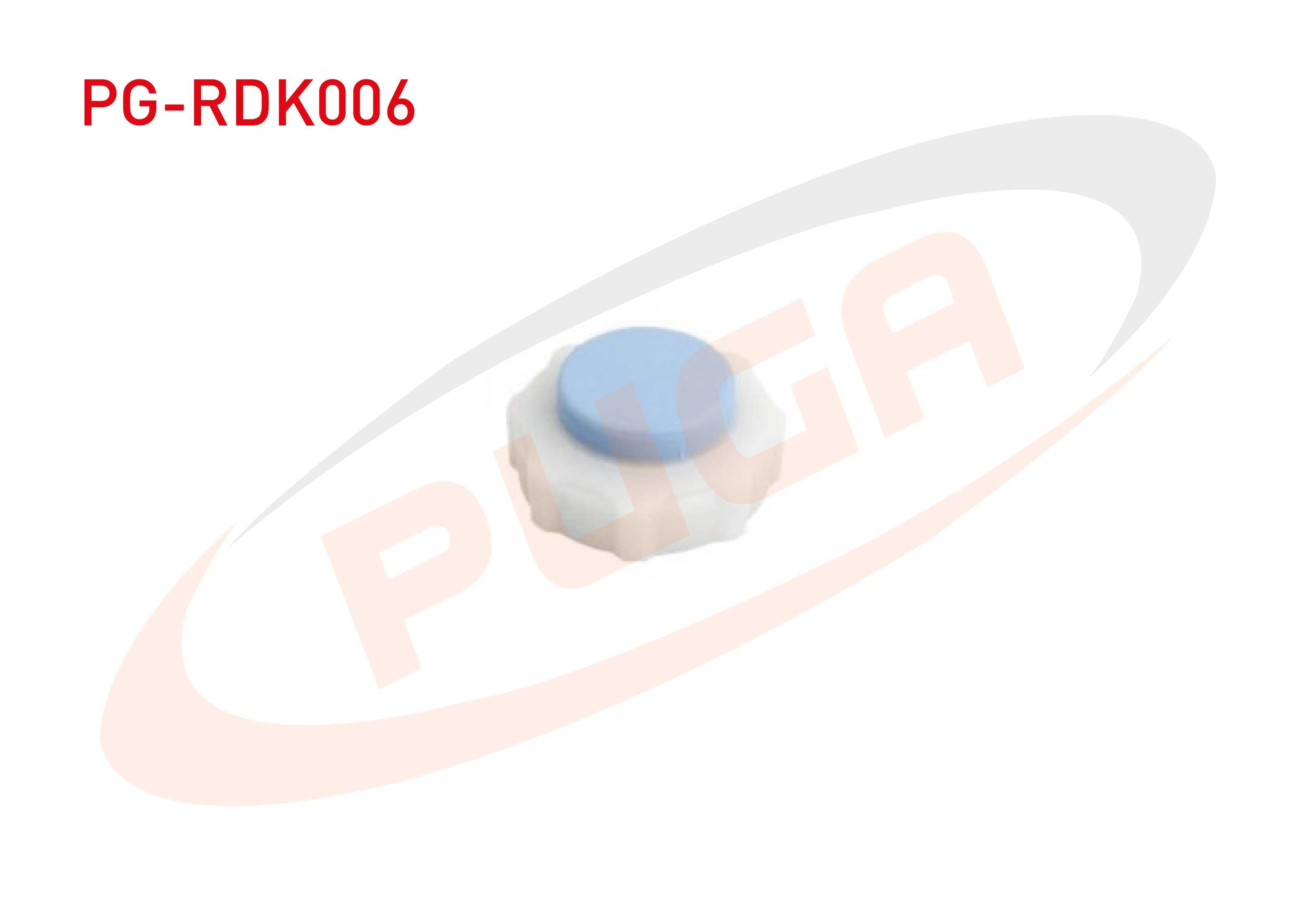 RADYATOR YEDEK SU DEPO KAPAGI MAVI R9 R11 R12 TOROS R19 R21 CLIO I KANGOO MEGANE / LOGAN