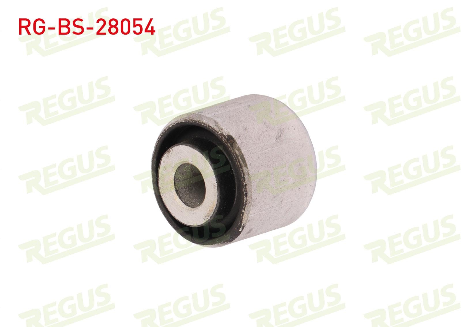 SALINCAK BURCU ARKA SOL-SAG ALT MERCEDES S CLASS (W140) 2.8 1991-1998