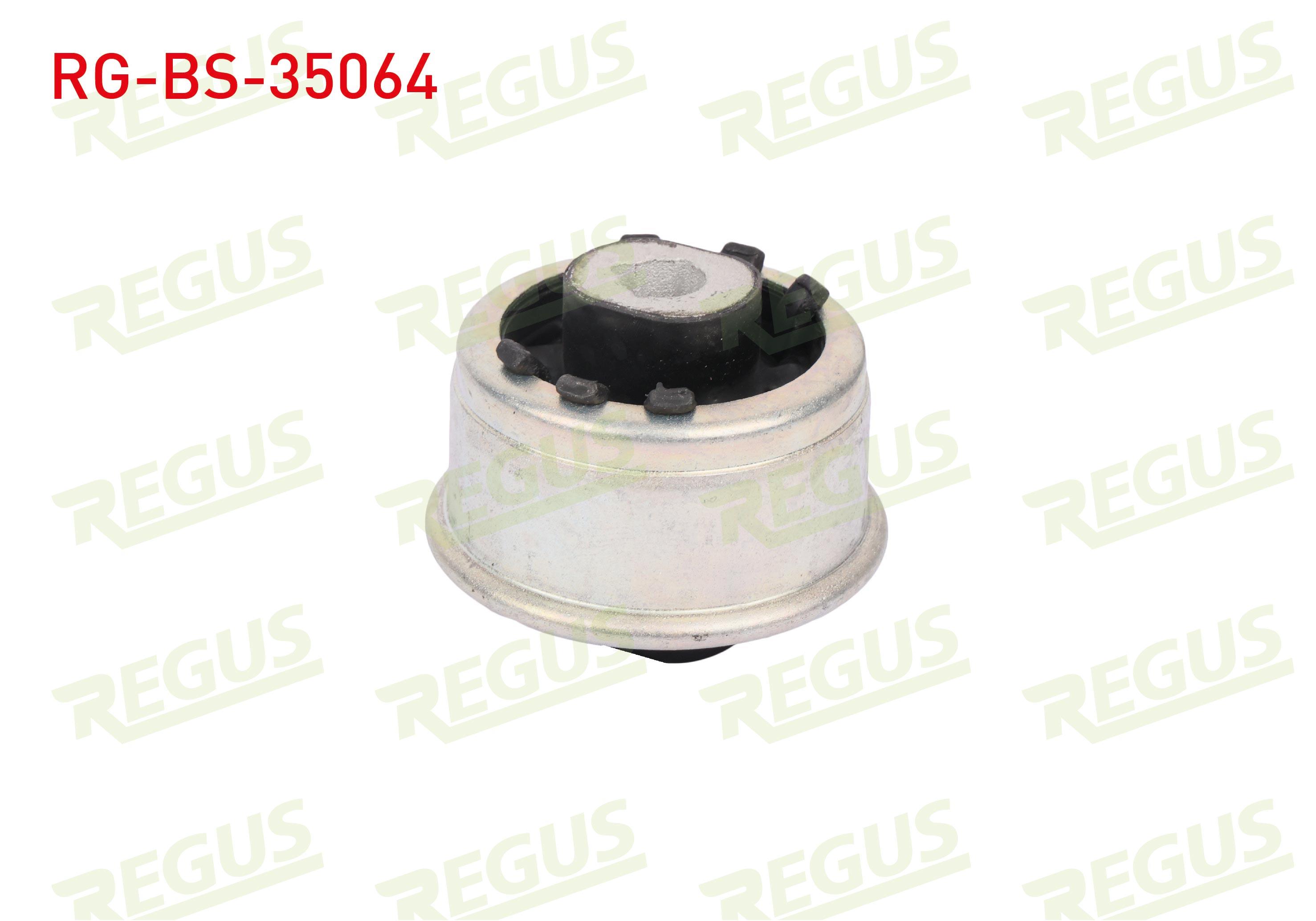 SALINCAK BURCU ON SOL-SAG ALT RENAULT SCENIC III (JZ0/1) 1.4i 16v 2009-