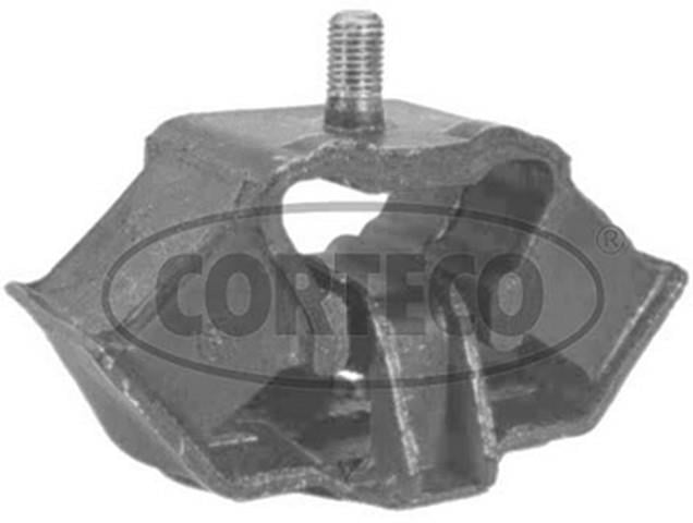 ŞANZUMAN KULAAĞI   201