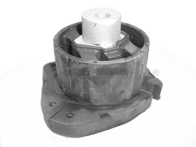 ŞANZUMAN KULAAĞI   E53 M62