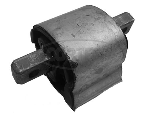 ŞANZUMAN KULAĞI   221