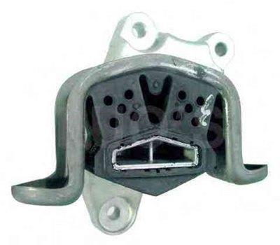 ŞANZUMAN KULAĞI   T5