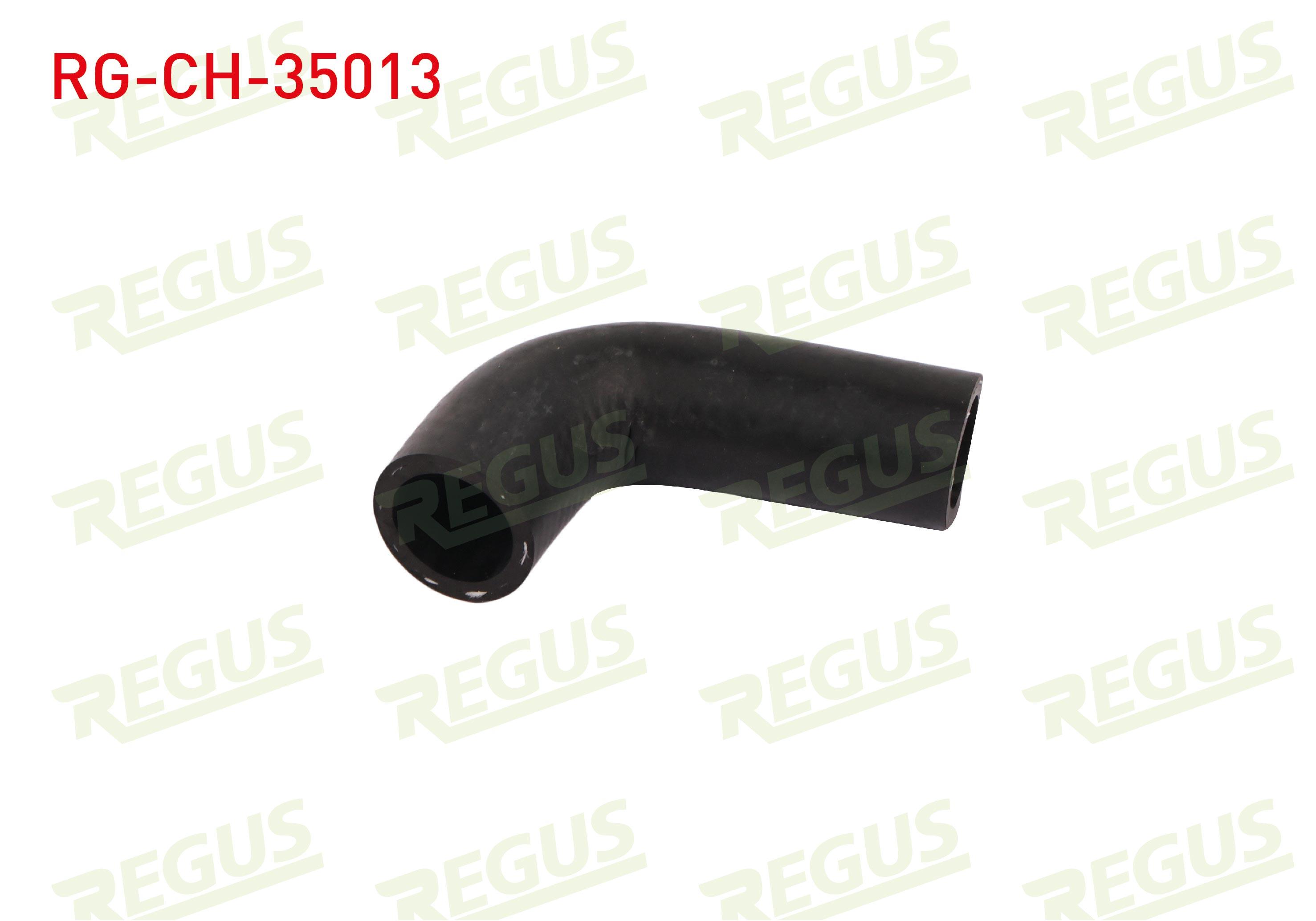 SU HORTUMU RENAULT R21 (B48,L48) 2.0 1986-1993