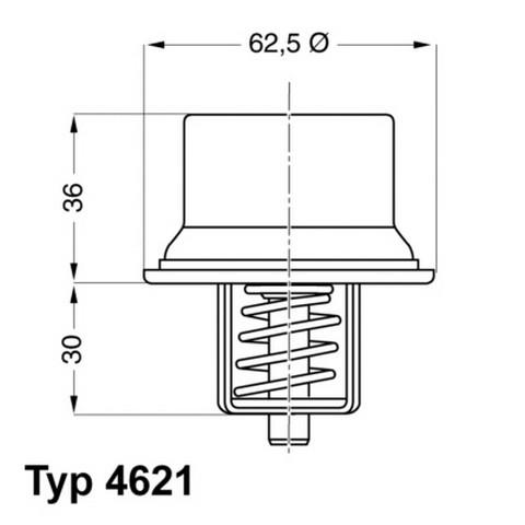 TERMOSTAT E36-46-85 M3  S54
