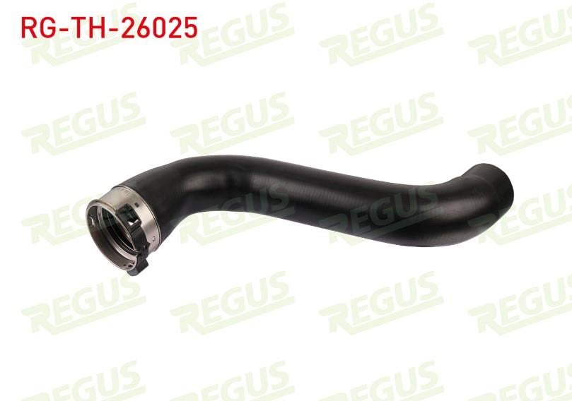 TURBO HORTUMU RANGE ROVER 3.0D 2002-