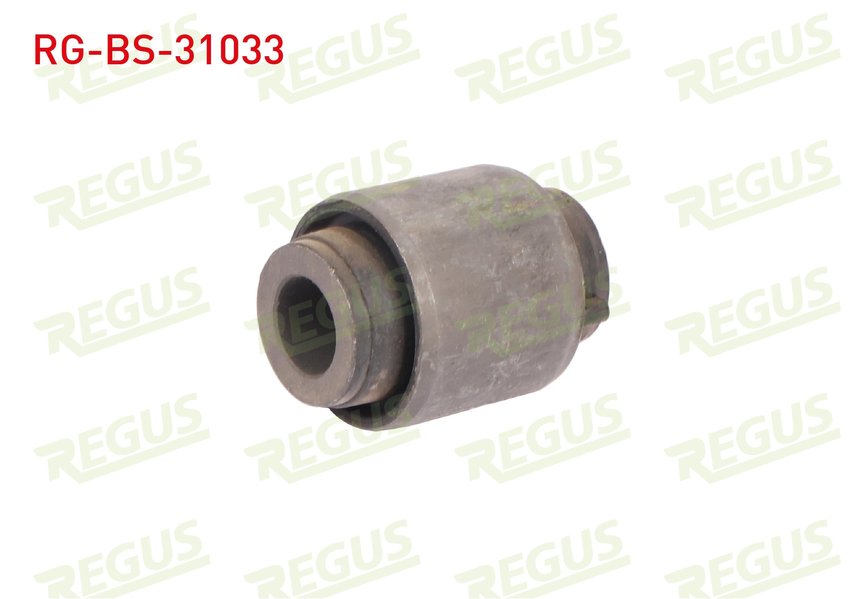 Z-ROT BURCU ARKA SOL-SAG NISSAN QASHQAI (J10) 1.5 DCI 2007-2014