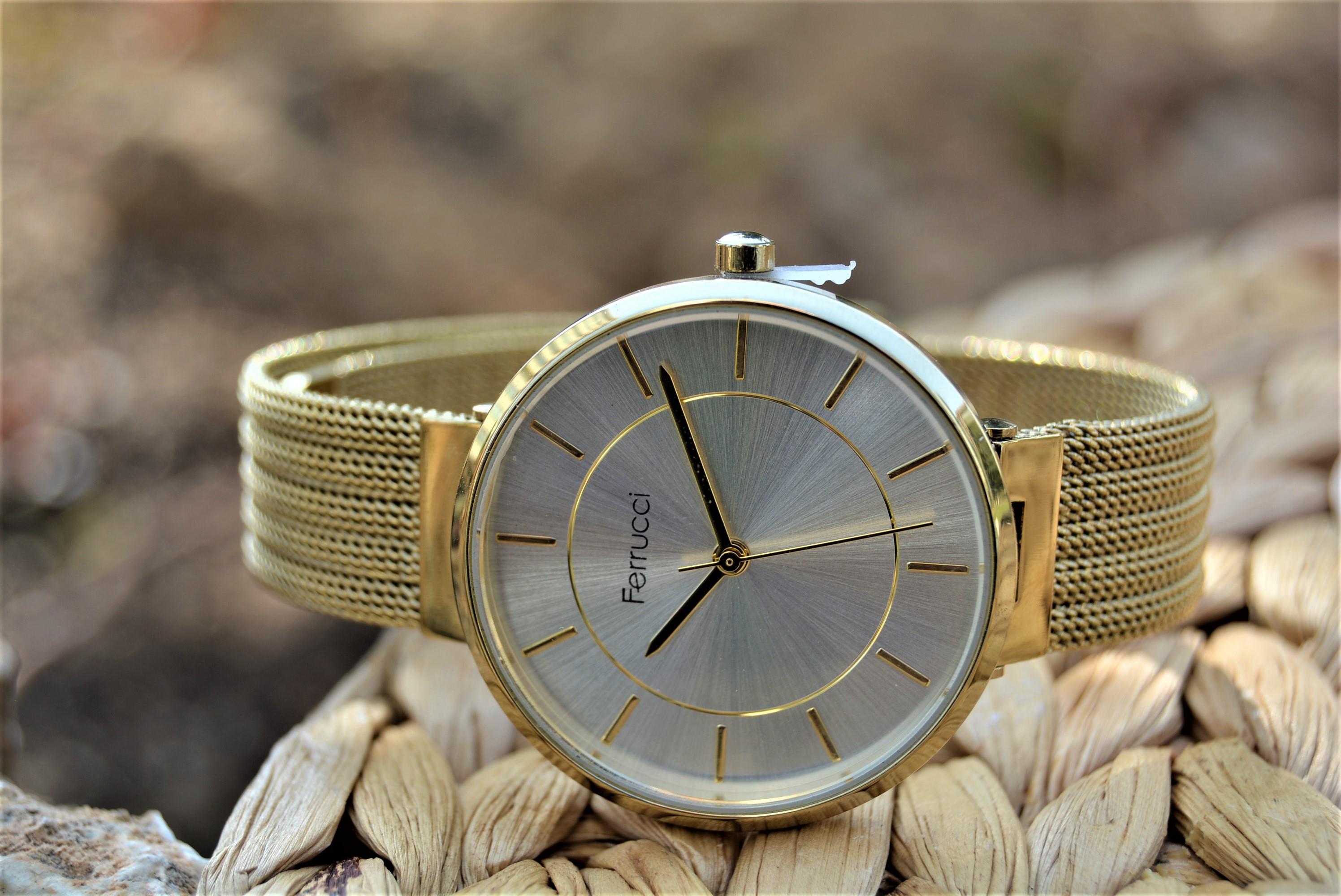 Ferrucci FC.12256M.01 Kadın Kol Saati