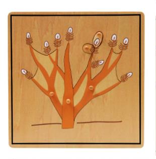 Ağaç Kökü Puzzle