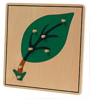 Bitkiler 5’li Puzzle Set