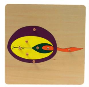 Bitkiler 5’li Puzzle Set