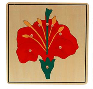 Bitkiler 5’li Puzzle Set