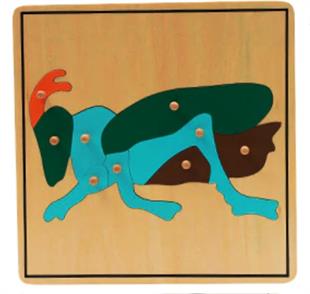 Böcekler 6’lı Puzzle Set