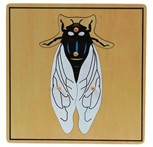 Böcekler 6’lı Puzzle Set