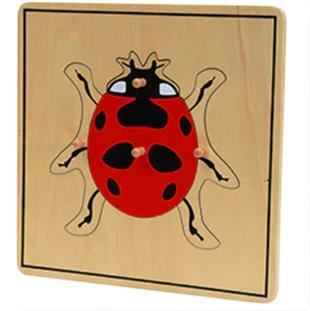 Böcekler 6’lı Puzzle Set