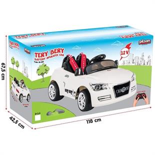 Pilsan Tery Bery 12V Akülü Araba