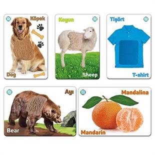 Circle Toys Dokun Hisset Tanı