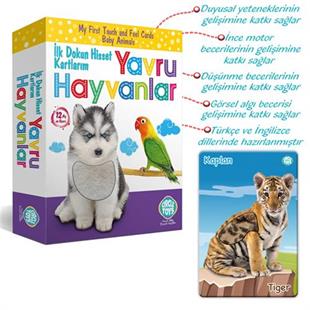 Circle Toys Dokun Hisset Yavru Hayvanlar