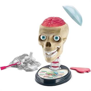 Clementoni Bilim Ve Oyun Çılgın Anatomi