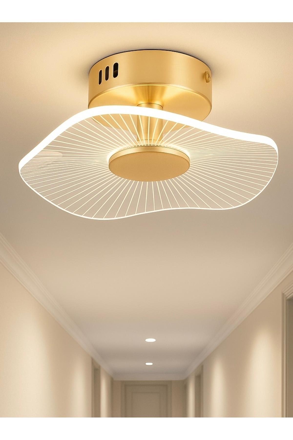Modern Led Avize Plafonyer Tavan Avize Hol Antre Mutfak Avizesi French Gold 19Cm Çap