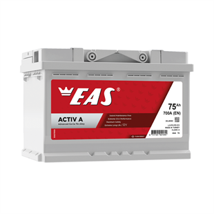 12/45 AMP DAR TERS EAS