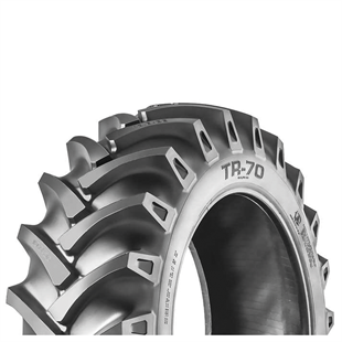 Lassa - TR70 (14.9/13-28)